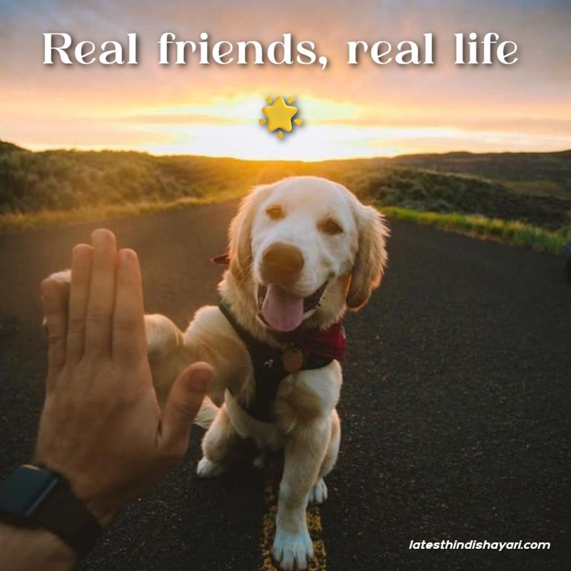 Short Dosti bio lines in Hindi