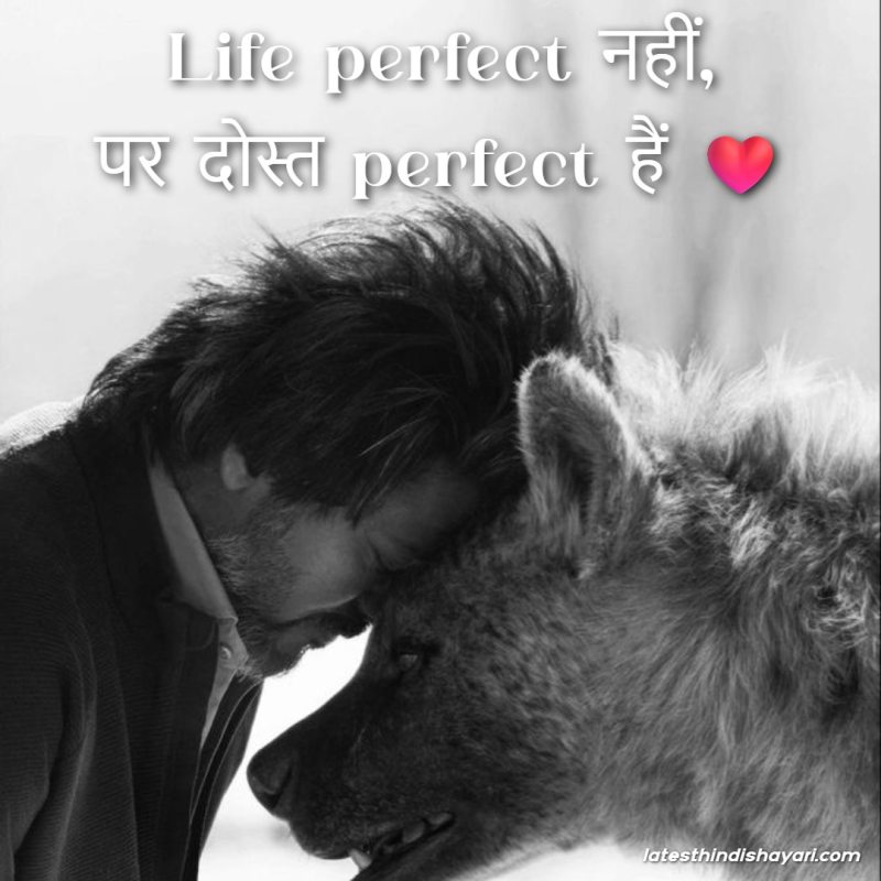 Dosti caption for Instagram post